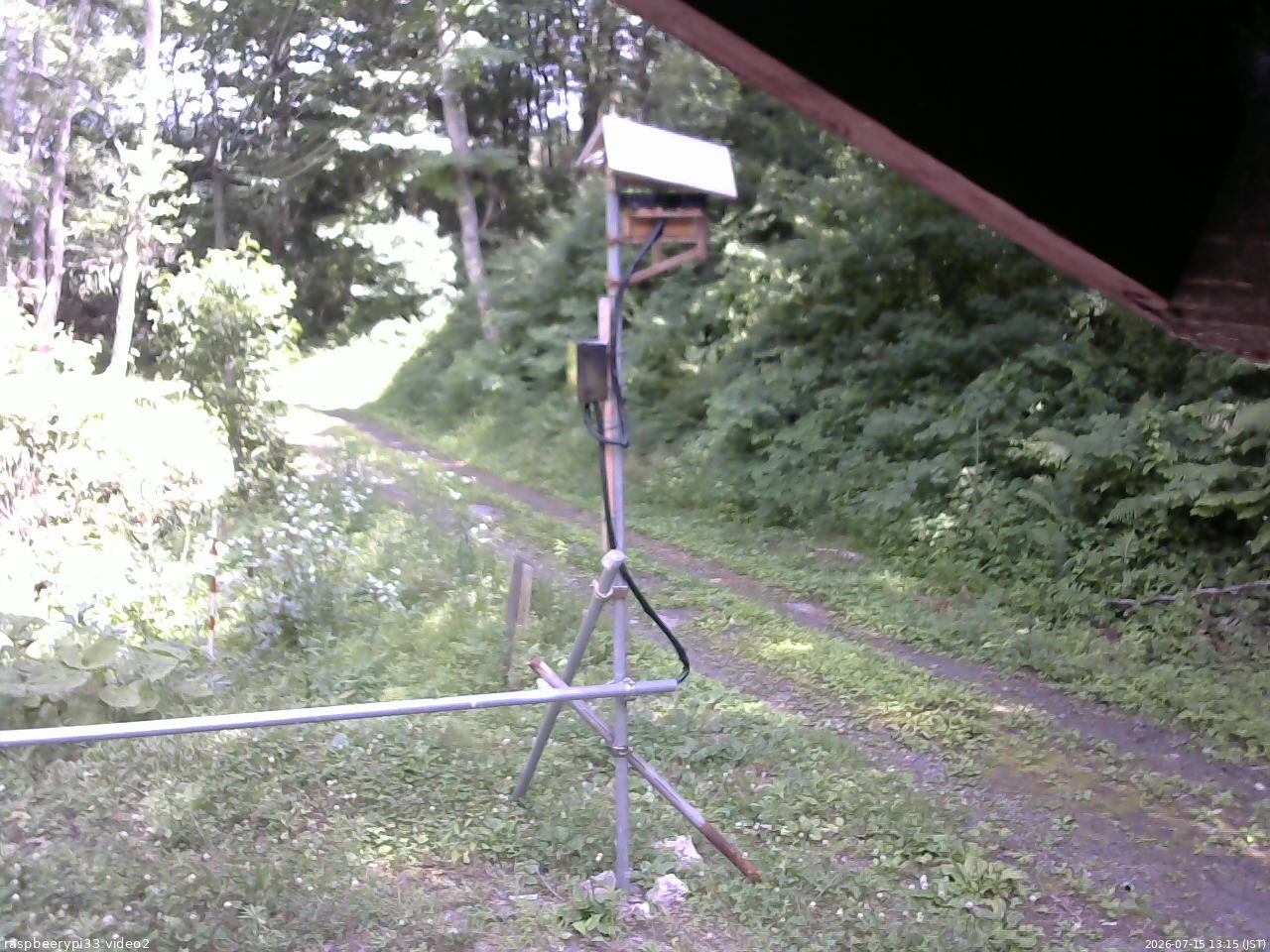 長野県菅平高原 ゆたか山荘 南側 2026/07/15 13:15