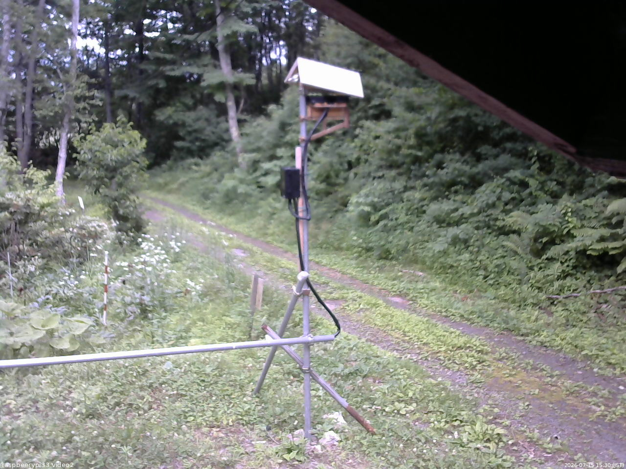 長野県菅平高原 ゆたか山荘 南側 2026/07/15 15:30