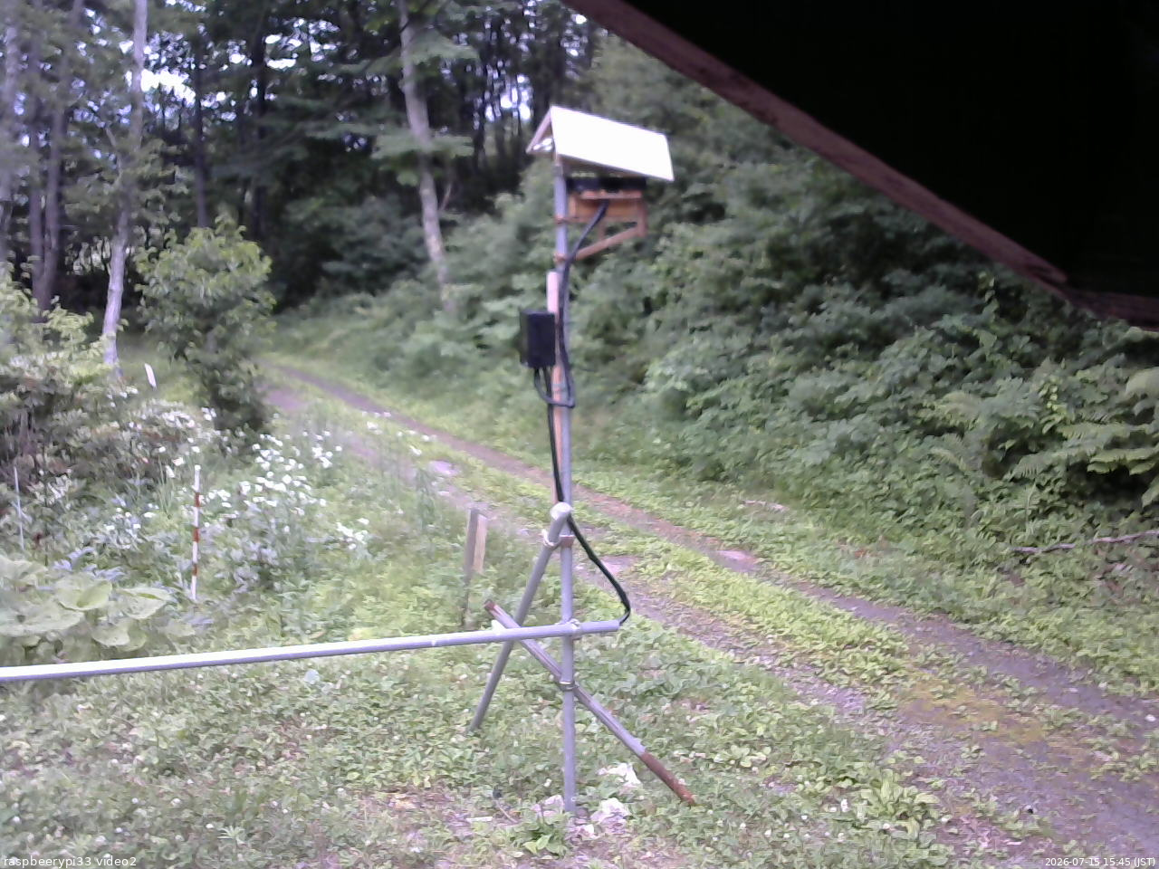 長野県菅平高原 ゆたか山荘 南側 2026/07/15 15:45