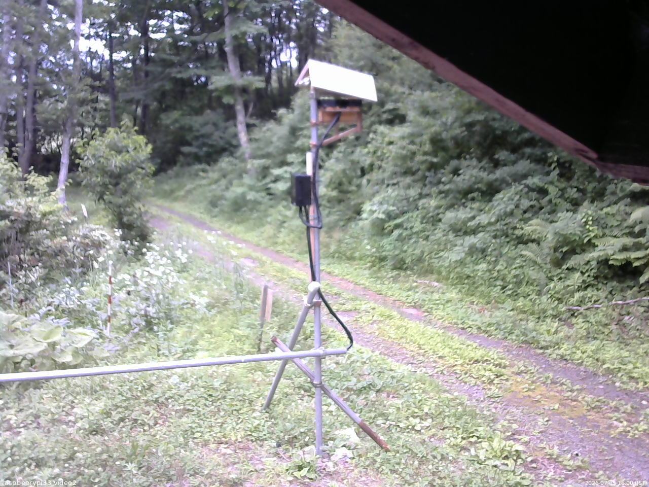 長野県菅平高原 ゆたか山荘 南側 2026/07/15 16:00