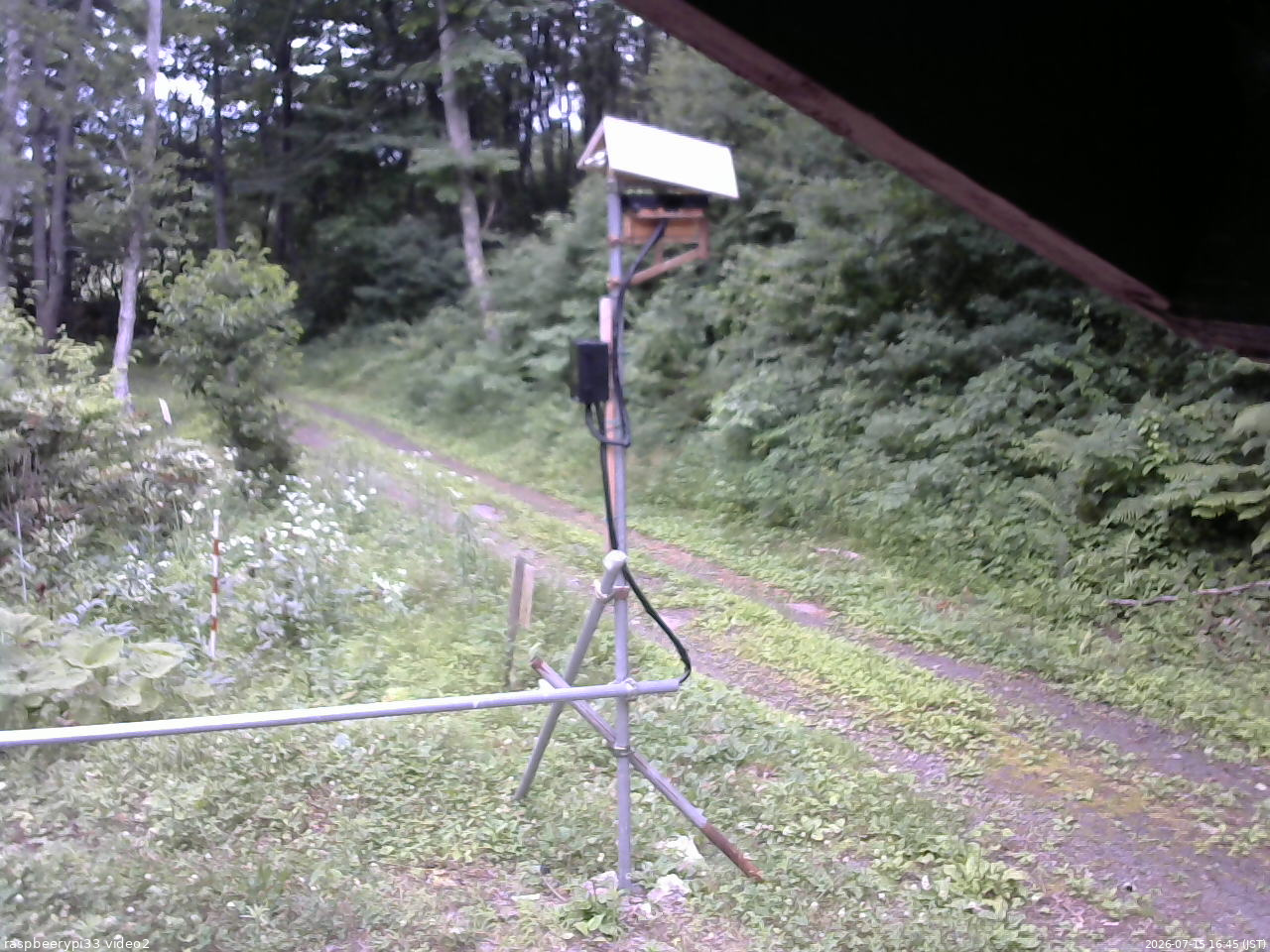 長野県菅平高原 ゆたか山荘 南側 2026/07/15 16:45