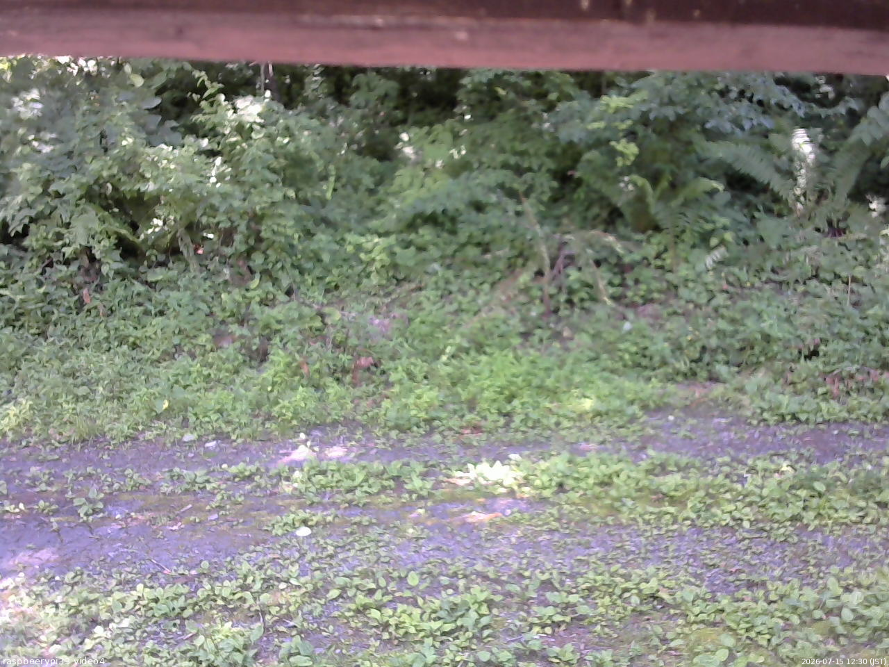 長野県菅平高原 ゆたか山荘 東側(坂下) 2026/07/15 12:30