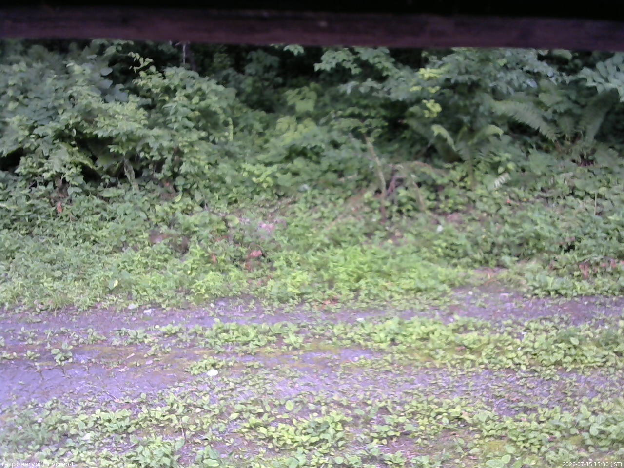 長野県菅平高原 ゆたか山荘 東側(坂下) 2026/07/15 15:30