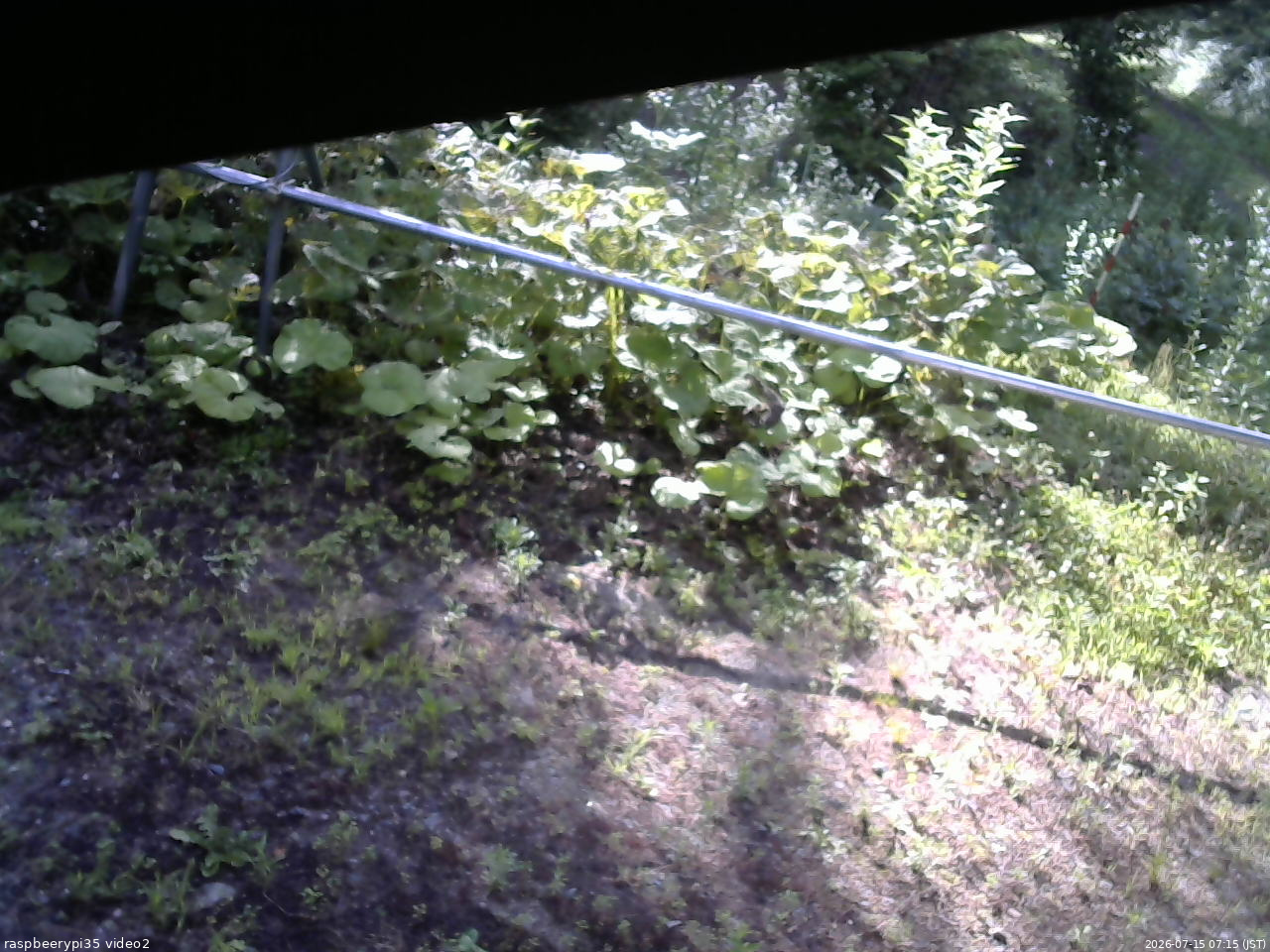 長野県菅平高原 ゆたか山荘 駐車場 2026/07/15 07:15