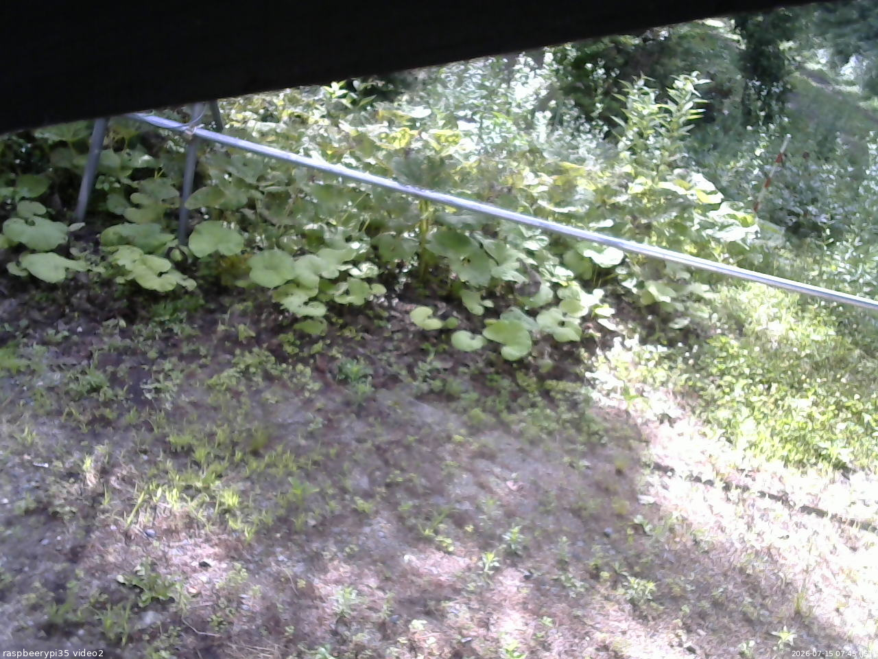 長野県菅平高原 ゆたか山荘 駐車場 2026/07/15 07:45