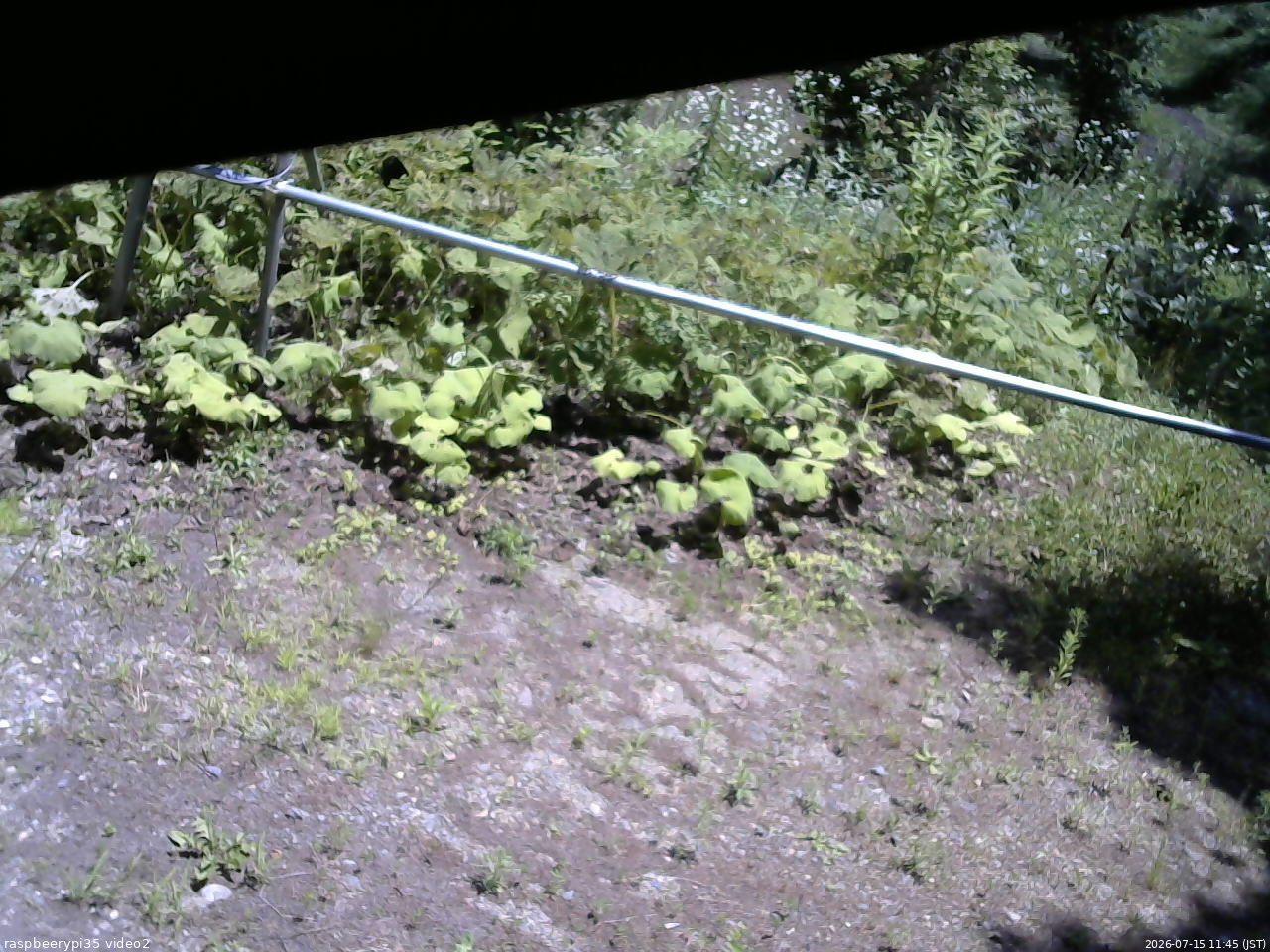 長野県菅平高原 ゆたか山荘 駐車場 2026/07/15 11:45