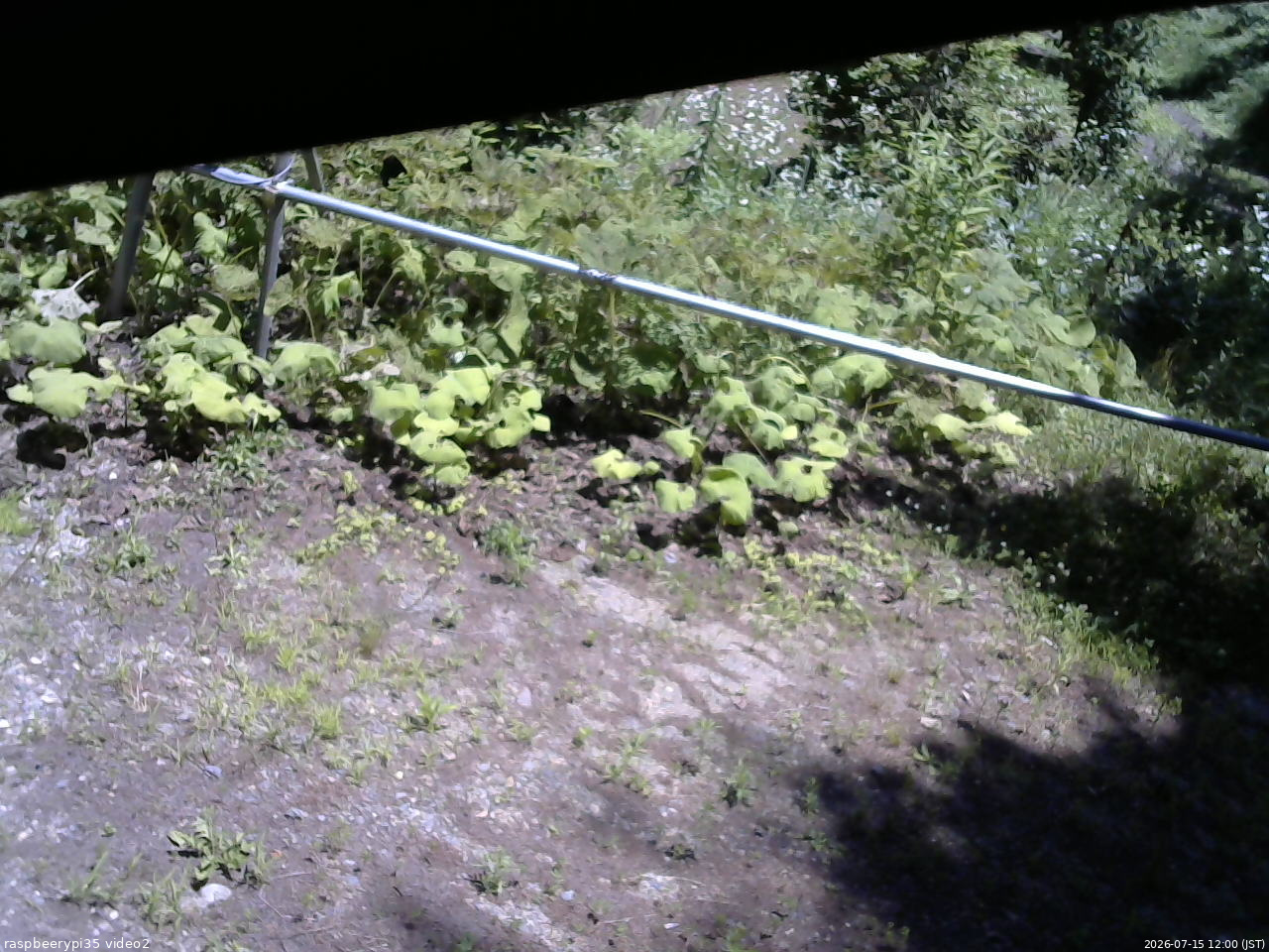 長野県菅平高原 ゆたか山荘 駐車場 2026/07/15 12:00