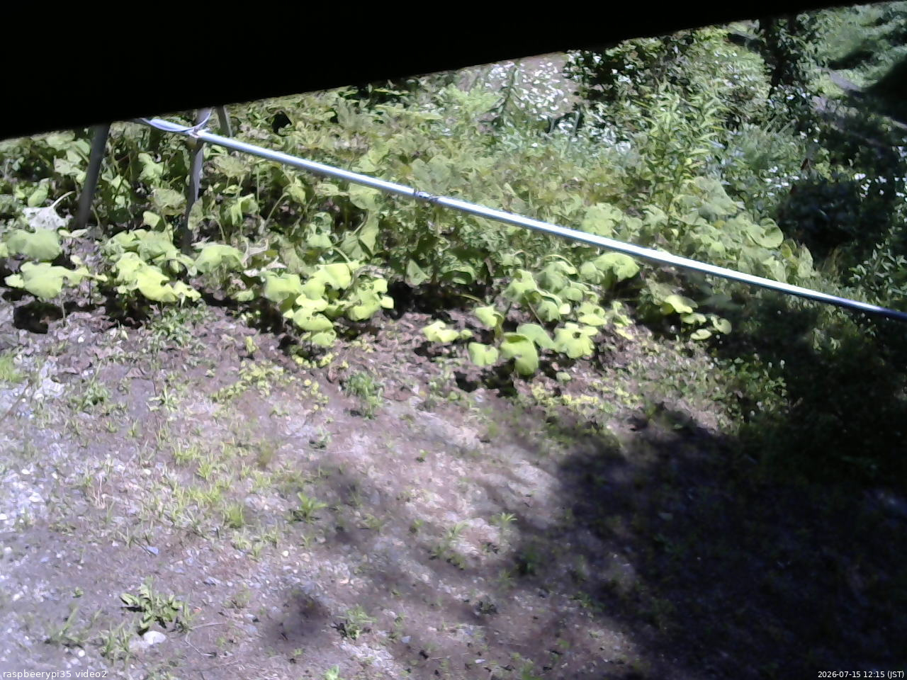 長野県菅平高原 ゆたか山荘 駐車場 2026/07/15 12:15