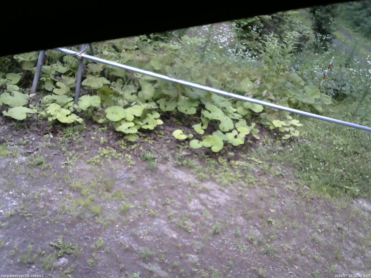 長野県菅平高原 ゆたか山荘 駐車場 2026/07/15 15:30