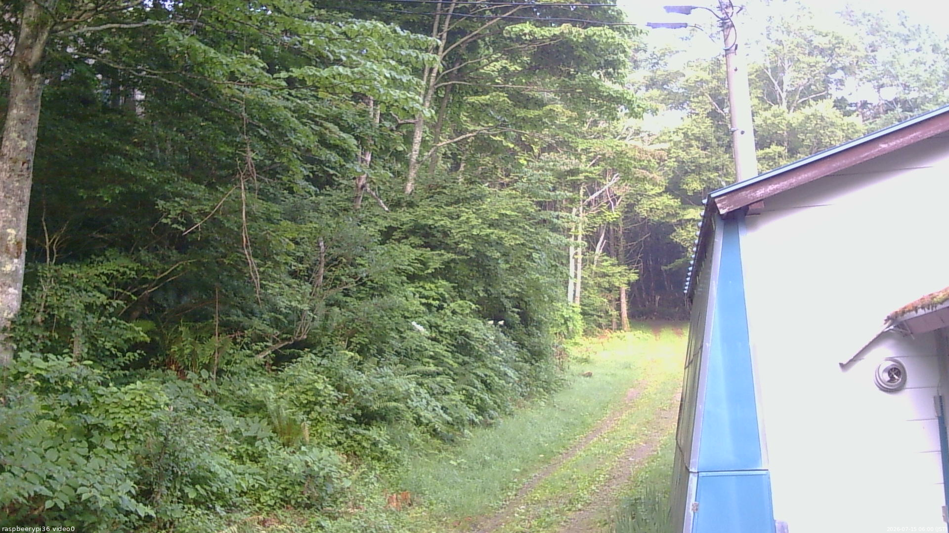 長野県菅平高原 ゆたか山荘 ゆたか山荘 2026/07/15 06:00