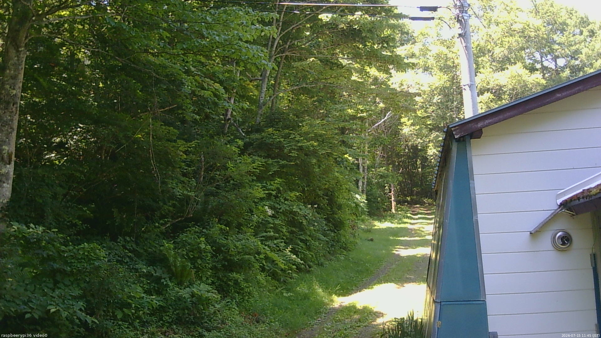 長野県菅平高原 ゆたか山荘 ゆたか山荘 2026/07/15 11:45