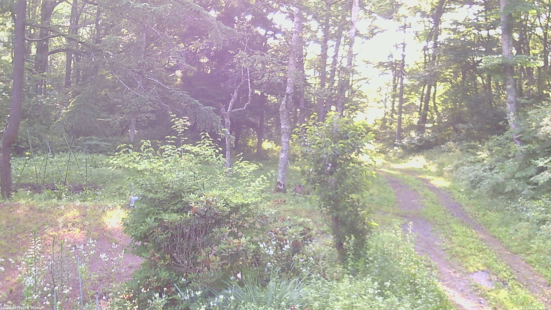 長野県菅平高原 ゆたか山荘 坂上 2026/07/15 06:15