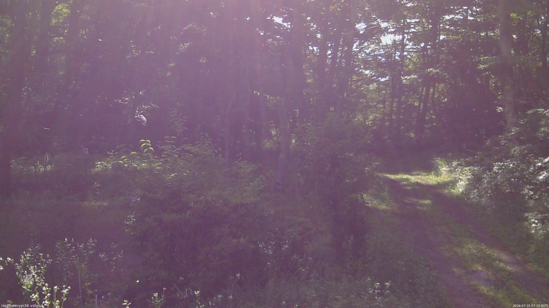 長野県菅平高原 ゆたか山荘 坂上 2026/07/15 07:15