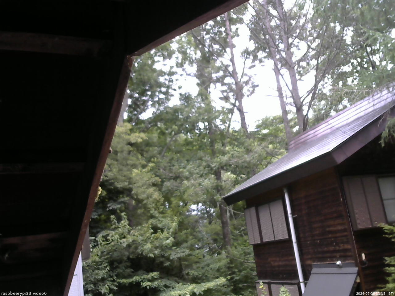 長野県菅平高原 ゆたか山荘 北側 2026/07/16 11:15