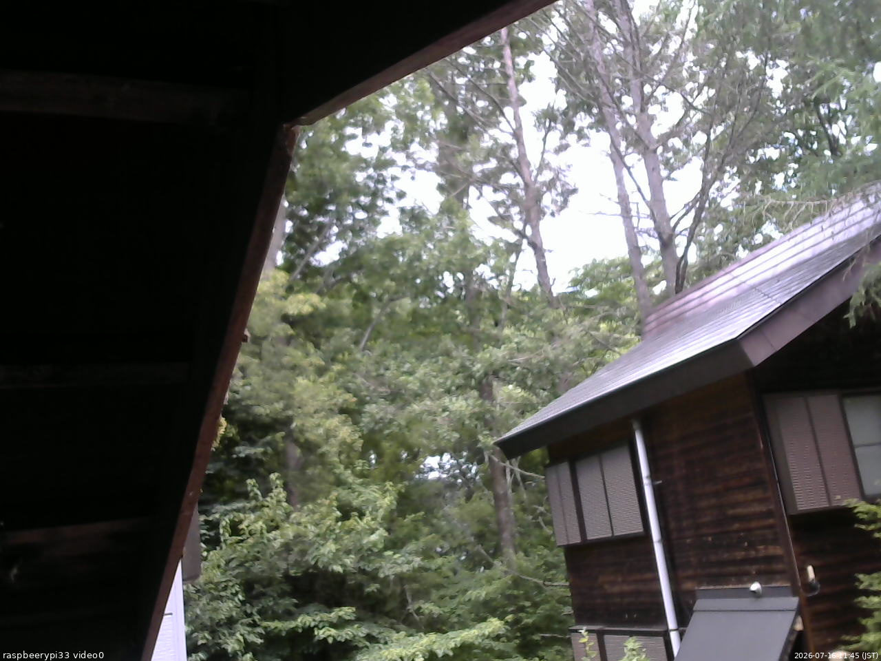 長野県菅平高原 ゆたか山荘 北側 2026/07/16 11:45