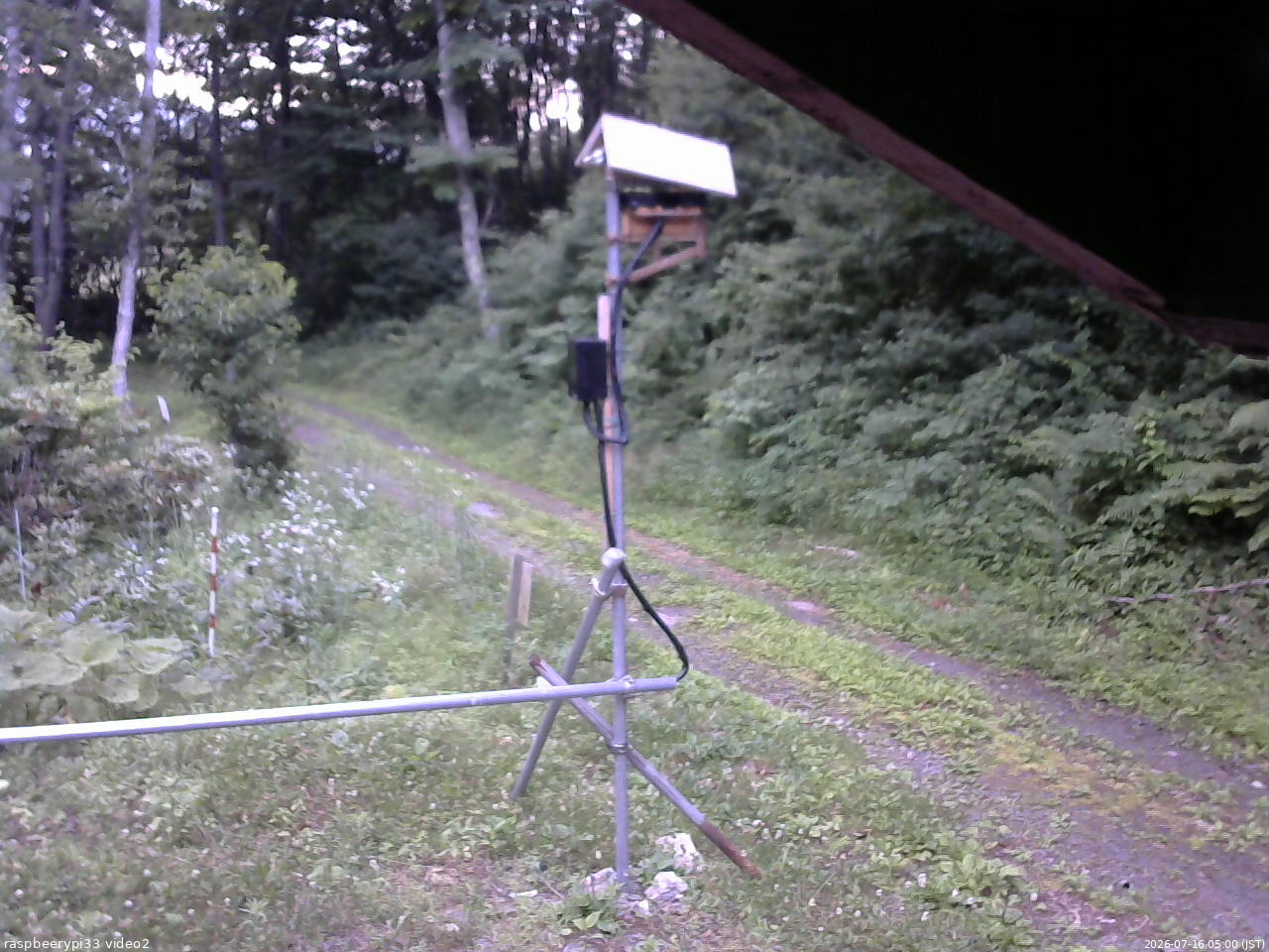 長野県菅平高原 ゆたか山荘 南側 2026/07/16 05:00