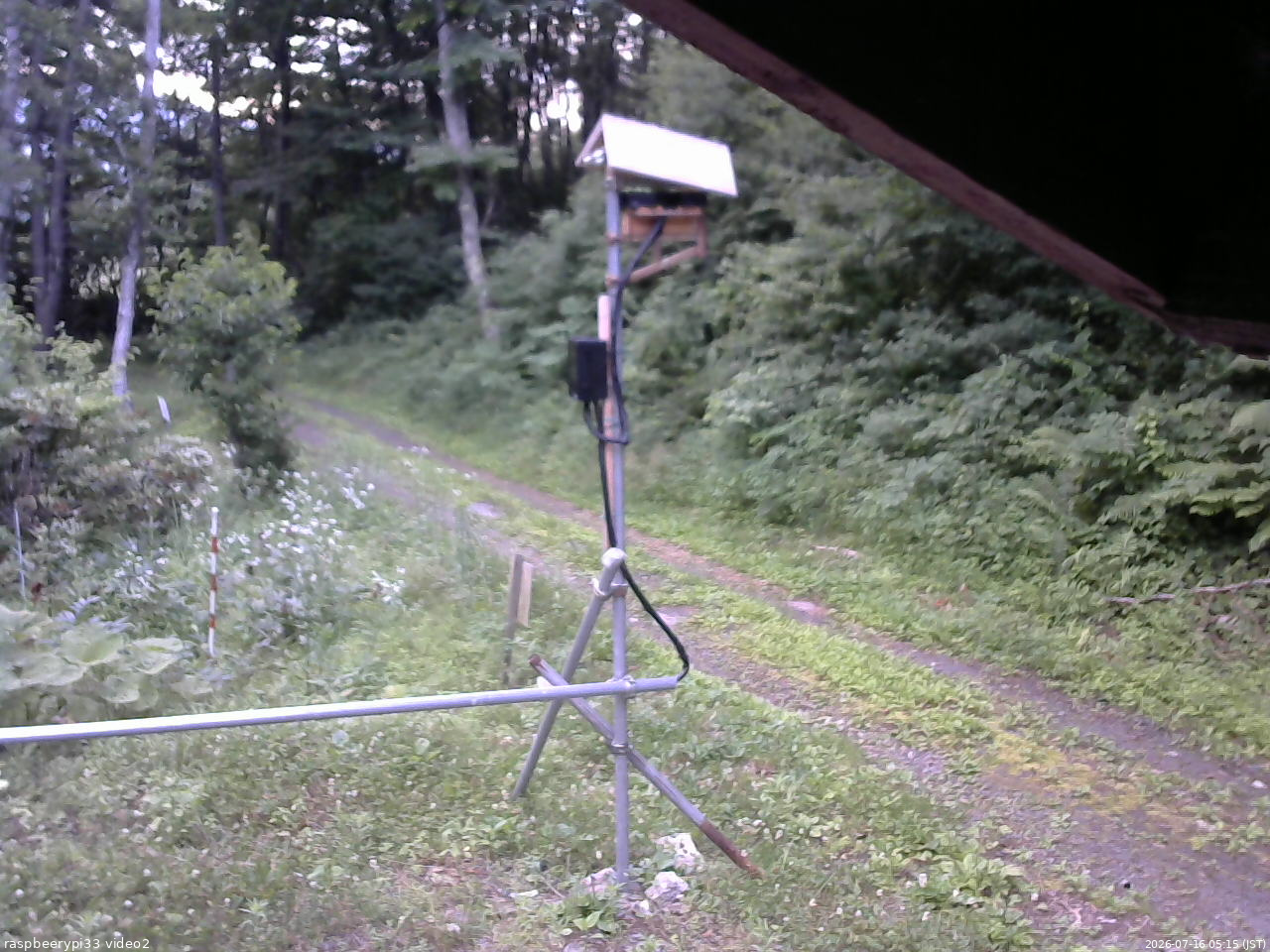 長野県菅平高原 ゆたか山荘 南側 2026/07/16 05:15