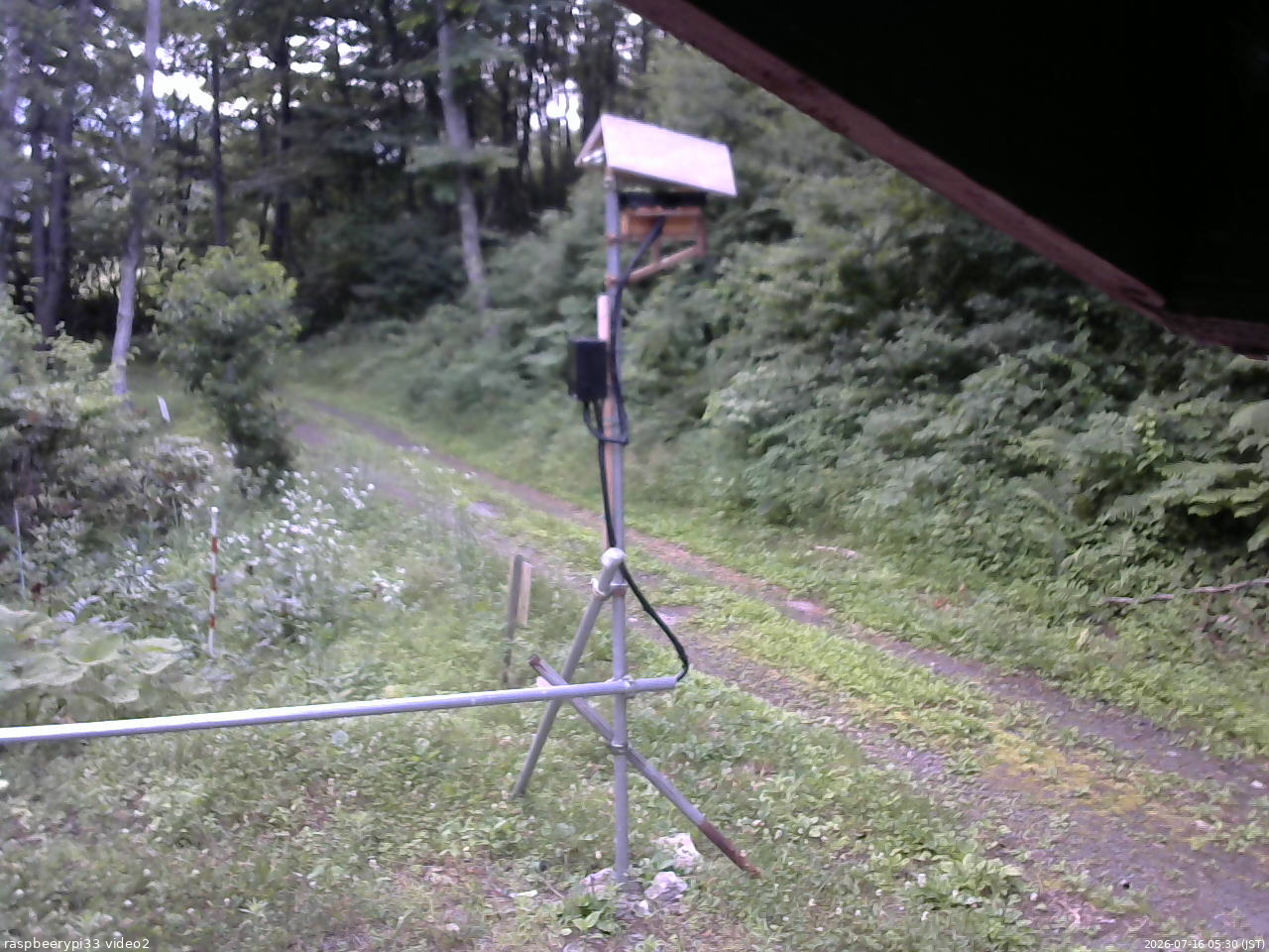 長野県菅平高原 ゆたか山荘 南側 2026/07/16 05:30