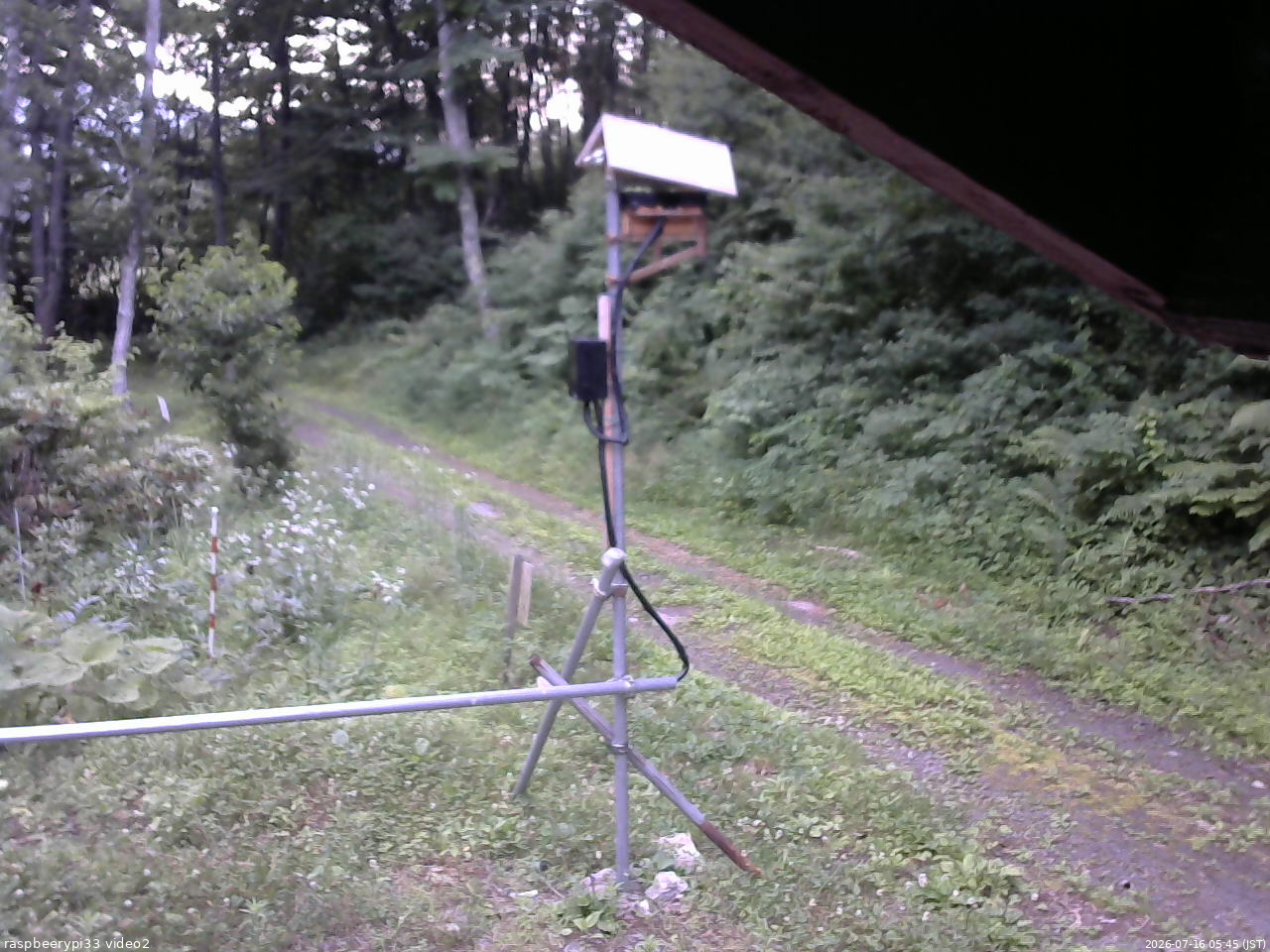 長野県菅平高原 ゆたか山荘 南側 2026/07/16 05:45
