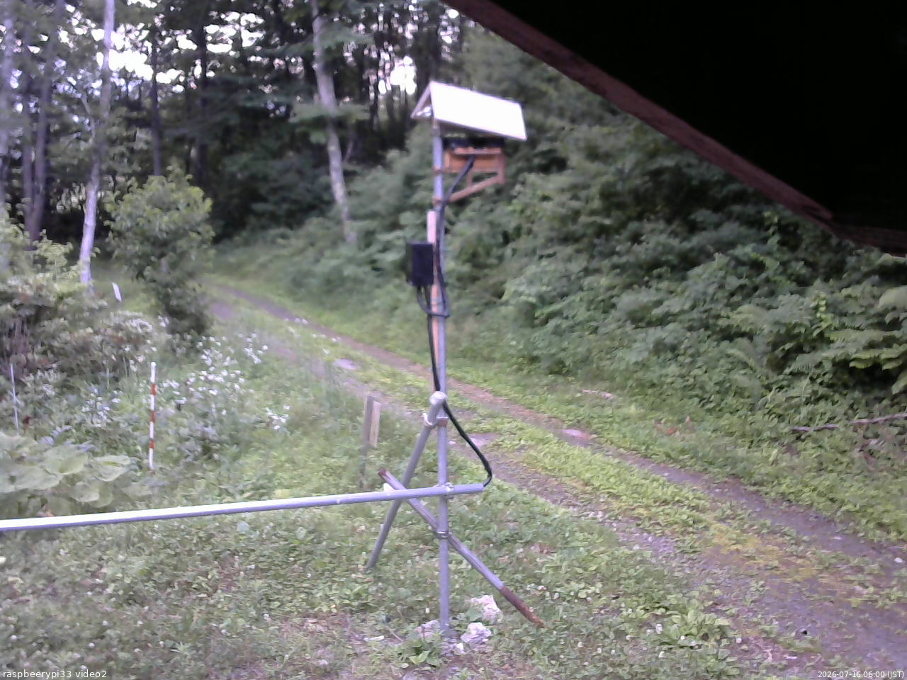 長野県菅平高原 ゆたか山荘 南側 2026/07/16 06:00