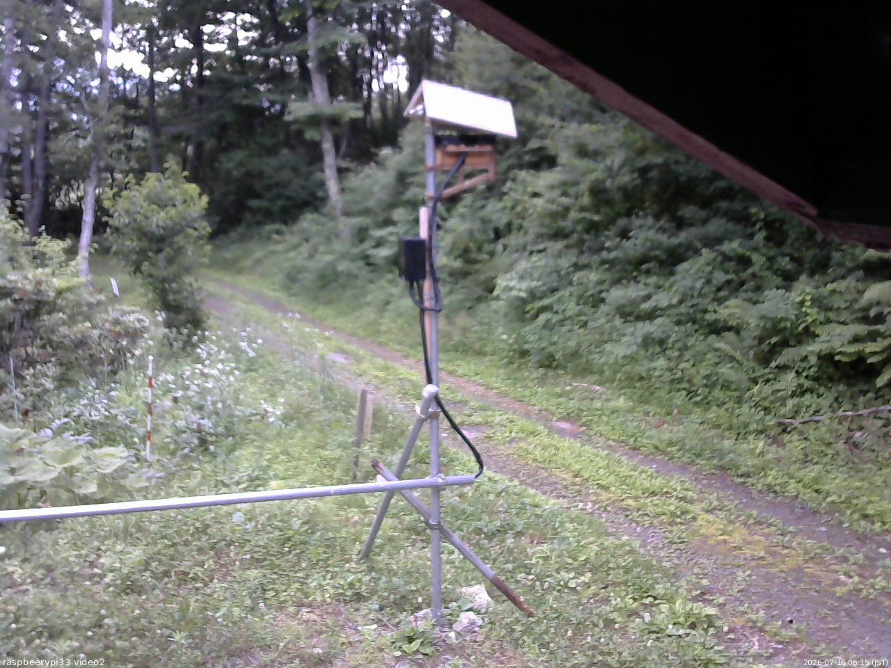 長野県菅平高原 ゆたか山荘 南側 2026/07/16 06:15