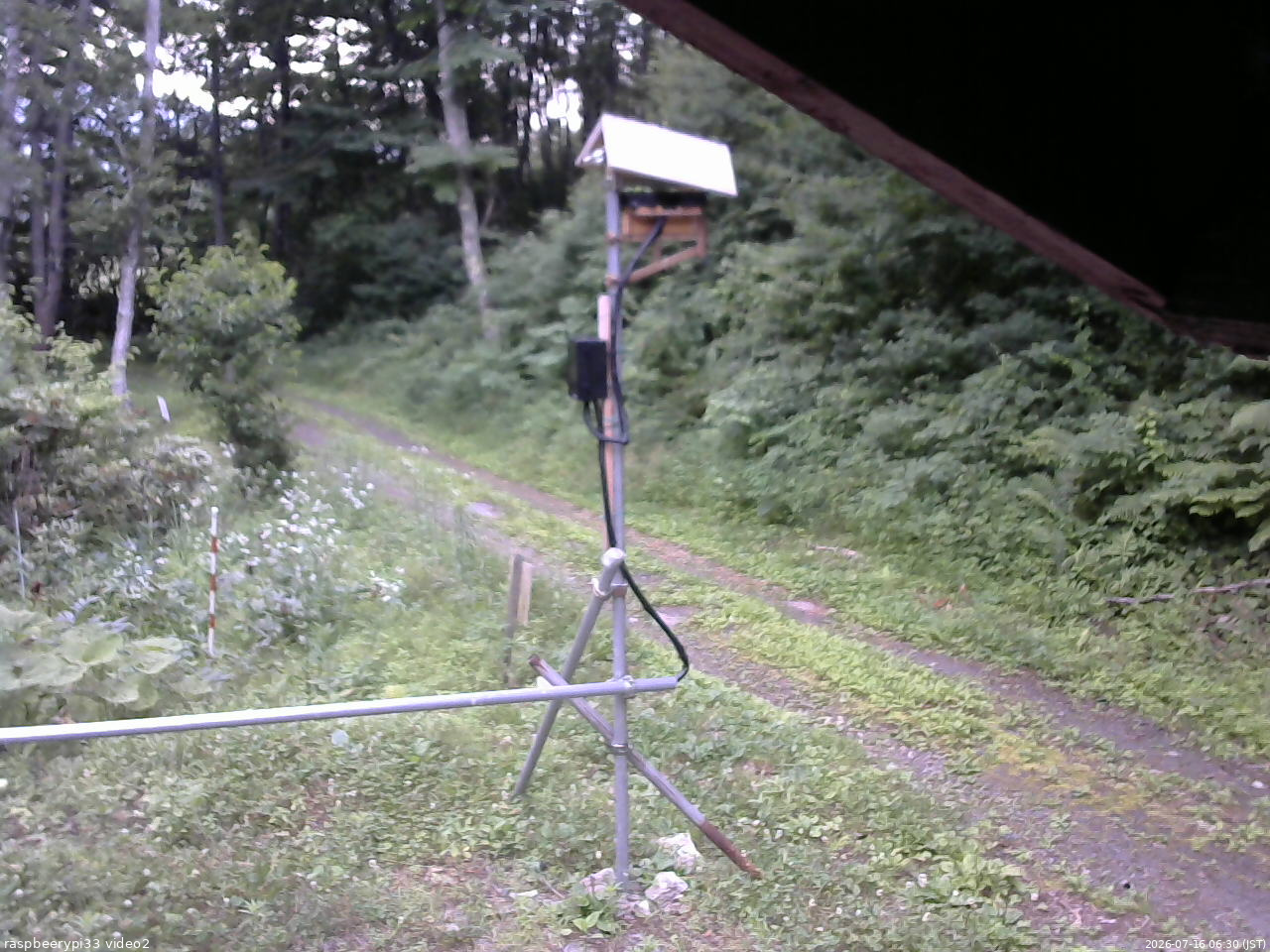 長野県菅平高原 ゆたか山荘 南側 2026/07/16 06:30