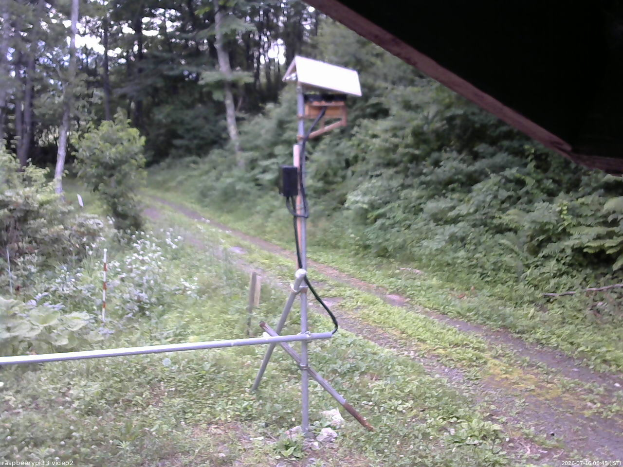 長野県菅平高原 ゆたか山荘 南側 2026/07/16 06:45