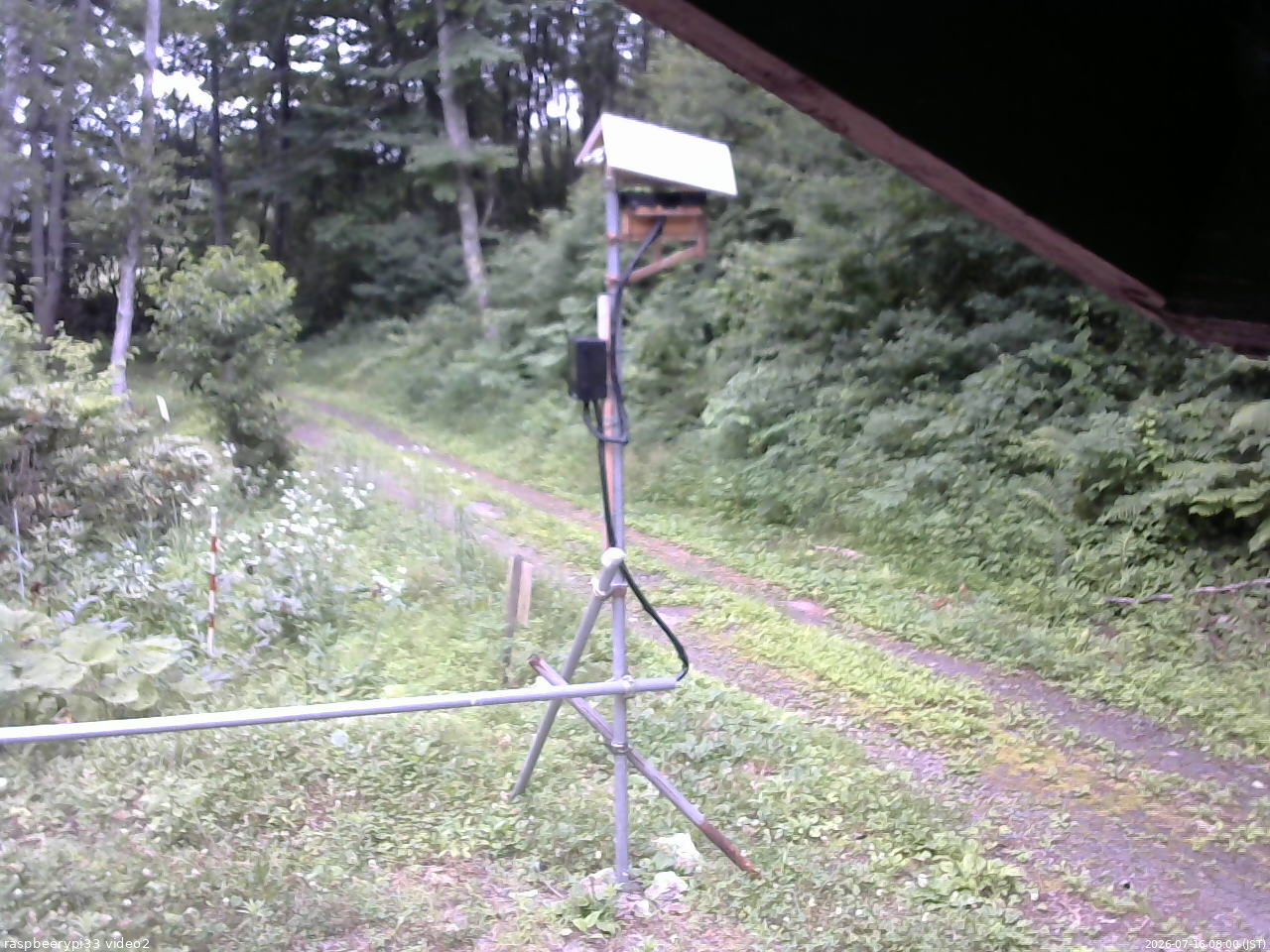 長野県菅平高原 ゆたか山荘 南側 2026/07/16 08:00