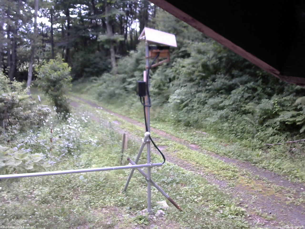 長野県菅平高原 ゆたか山荘 南側 2026/07/16 08:45