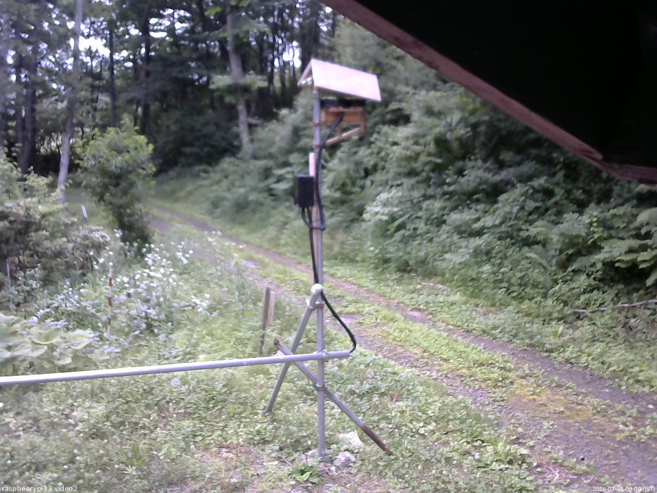 長野県菅平高原 ゆたか山荘 南側 2026/07/16 09:00