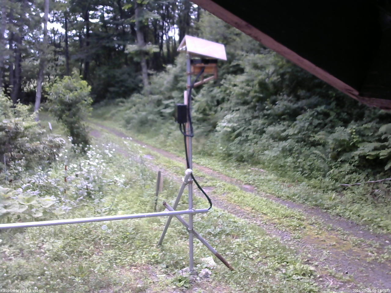 長野県菅平高原 ゆたか山荘 南側 2026/07/16 09:15
