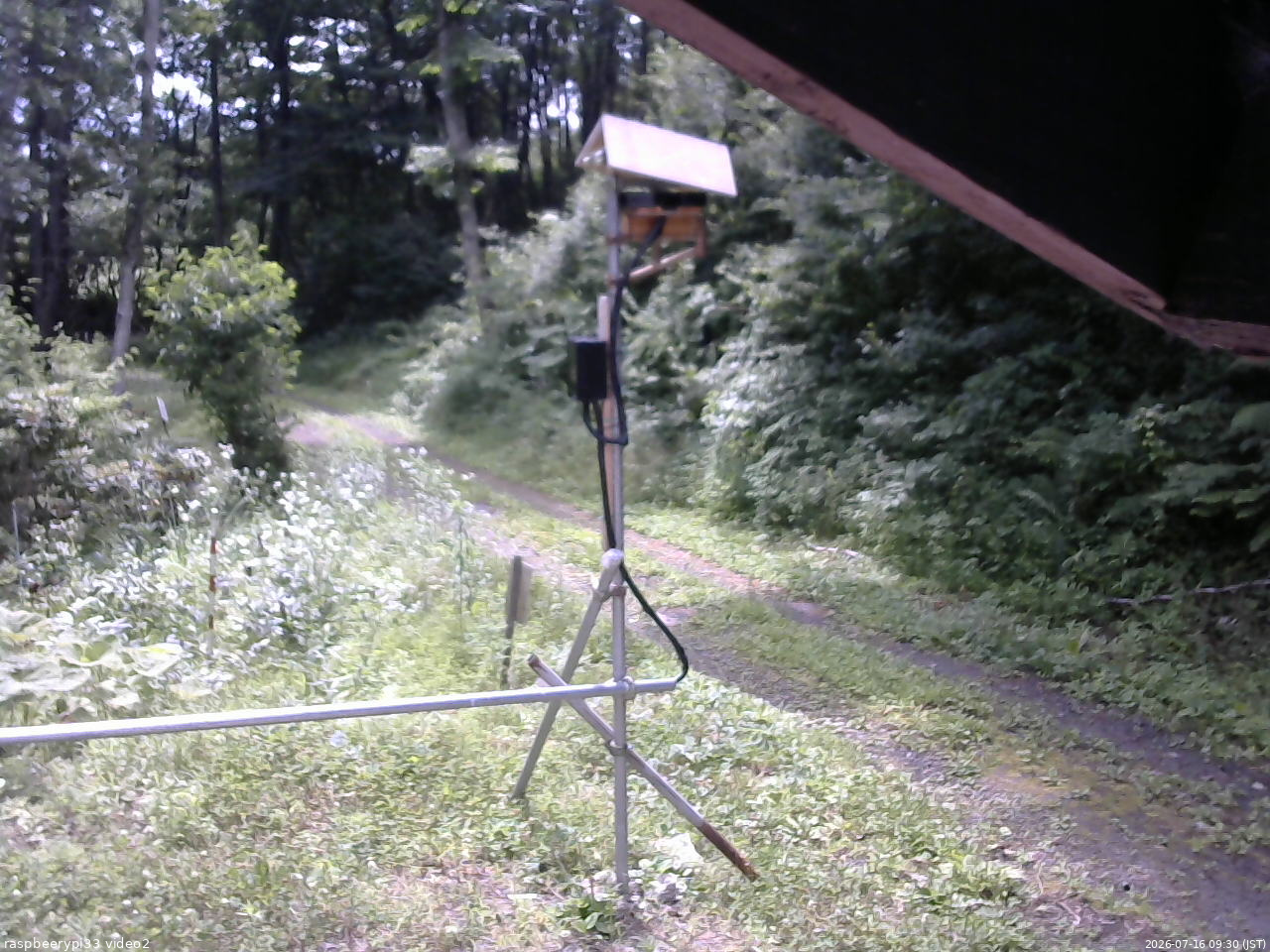 長野県菅平高原 ゆたか山荘 南側 2026/07/16 09:30