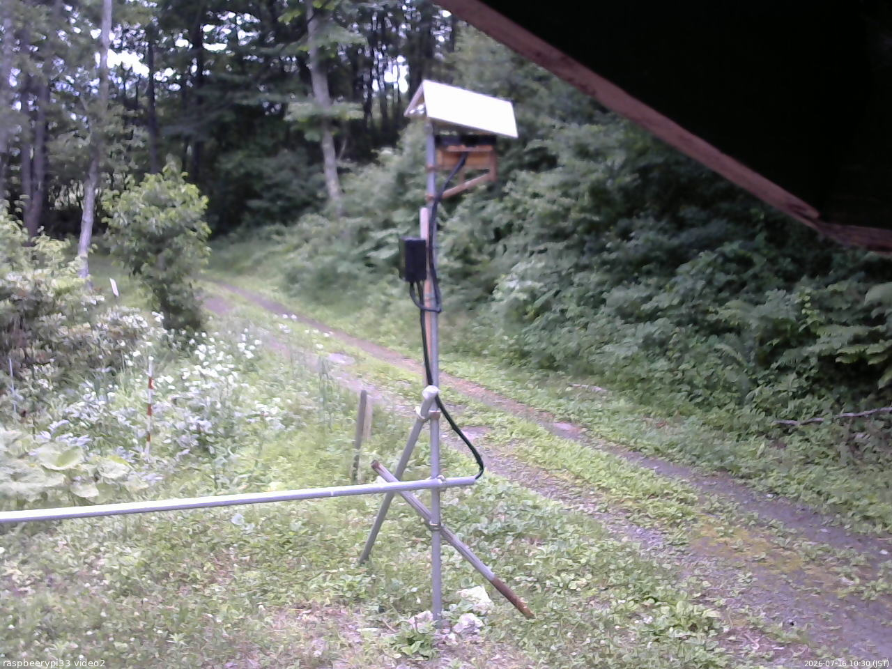 長野県菅平高原 ゆたか山荘 南側 2026/07/16 10:30