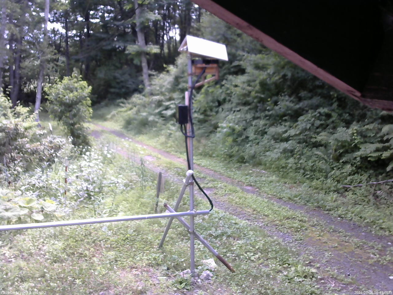 長野県菅平高原 ゆたか山荘 南側 2026/07/16 10:45