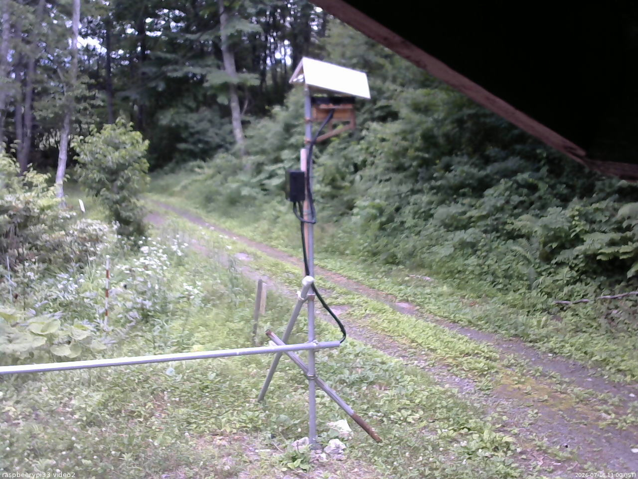 長野県菅平高原 ゆたか山荘 南側 2026/07/16 11:00