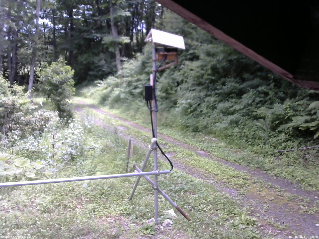 長野県菅平高原 ゆたか山荘 南側 2026/07/16 11:30