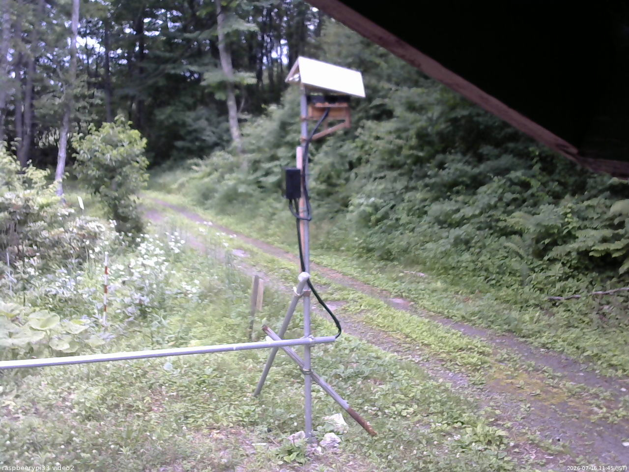 長野県菅平高原 ゆたか山荘 南側 2026/07/16 11:45