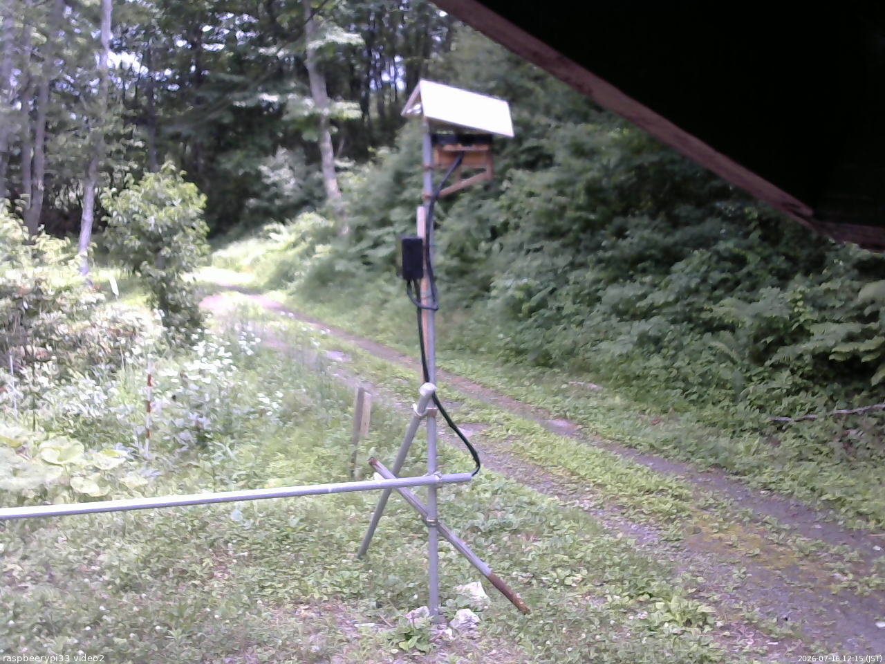 長野県菅平高原 ゆたか山荘 南側 2026/07/16 12:15