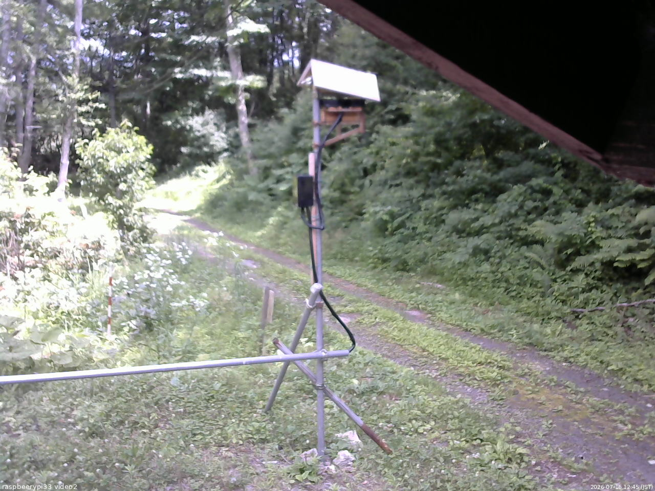 長野県菅平高原 ゆたか山荘 南側 2026/07/16 12:45
