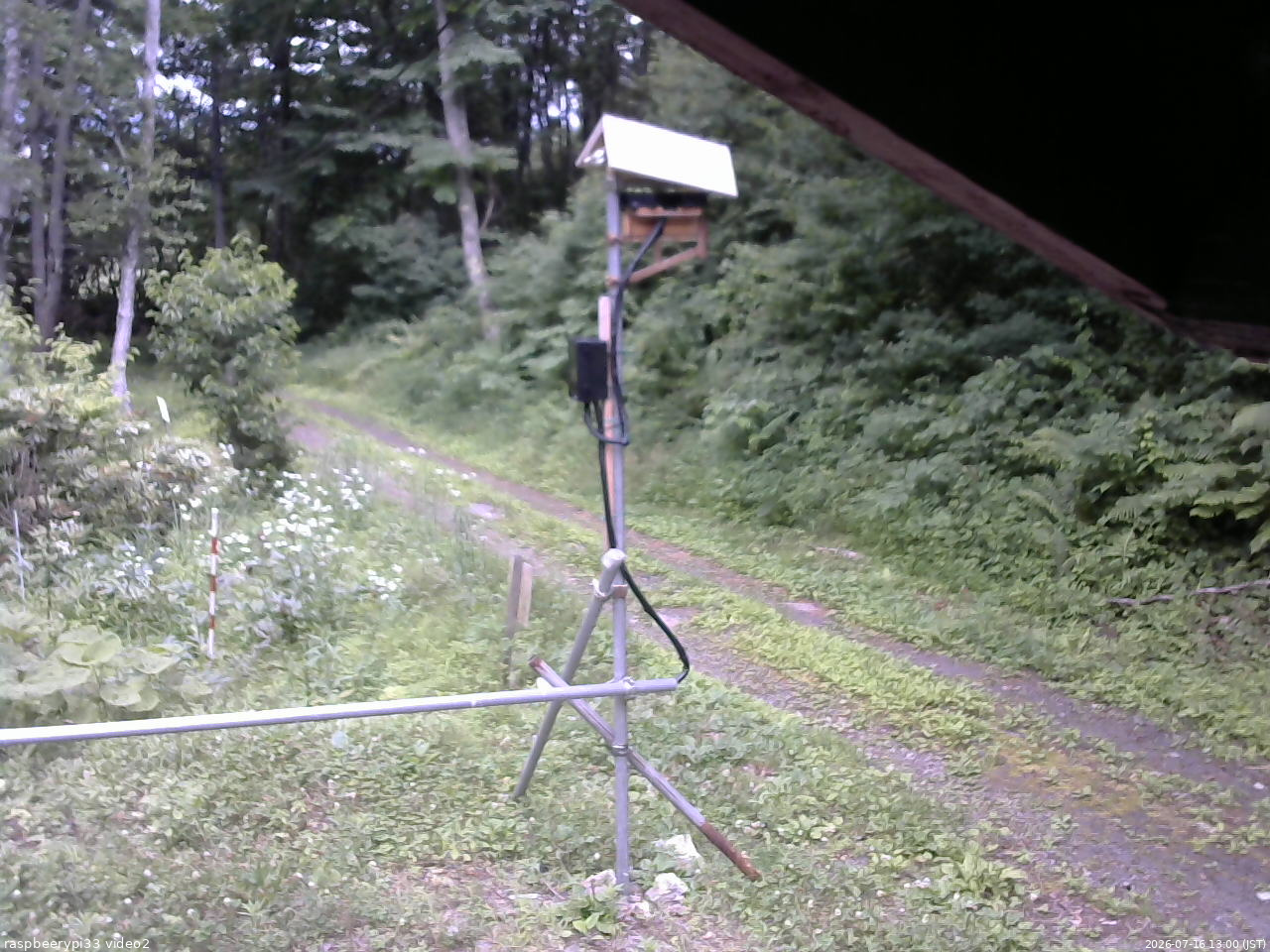 長野県菅平高原 ゆたか山荘 南側 2026/07/16 13:00