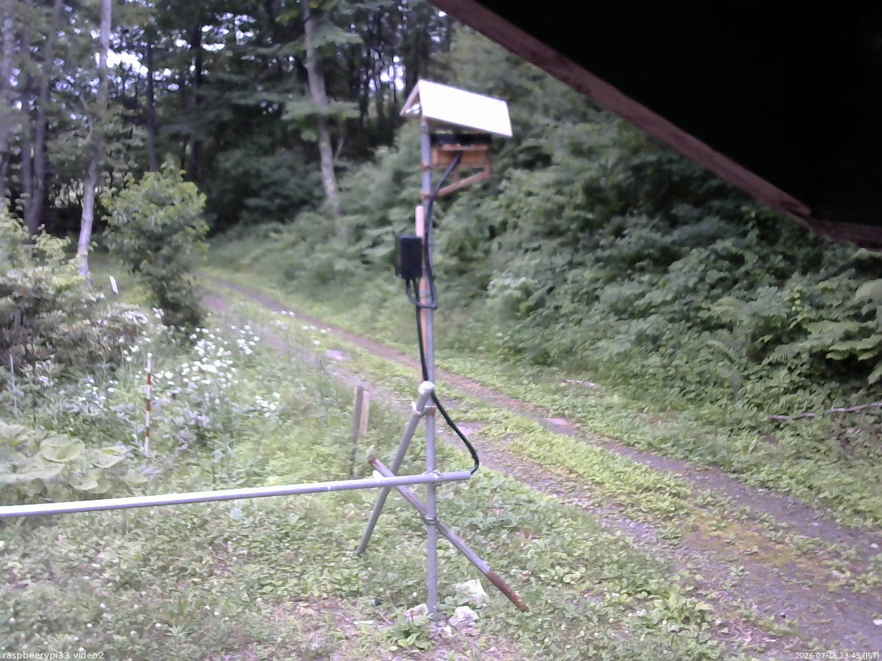 長野県菅平高原 ゆたか山荘 南側 2026/07/16 13:45