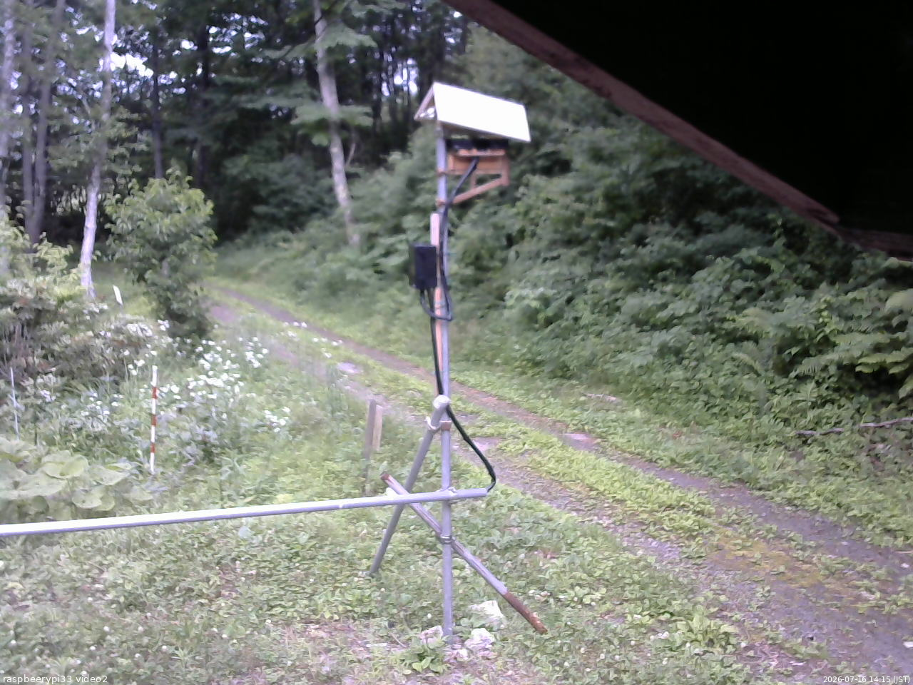 長野県菅平高原 ゆたか山荘 南側 2026/07/16 14:15
