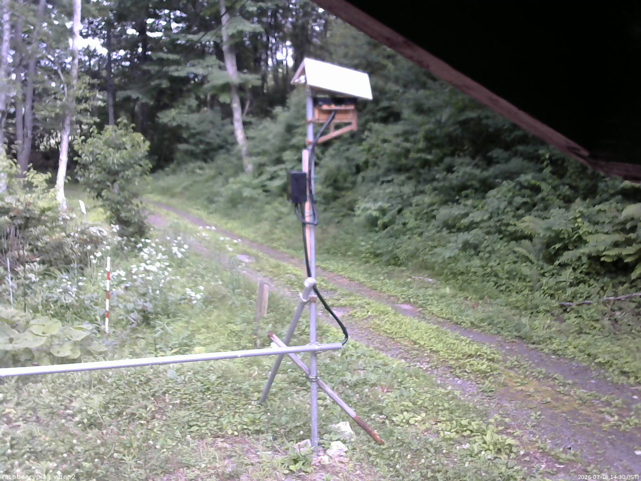 長野県菅平高原 ゆたか山荘 南側 2026/07/16 14:30