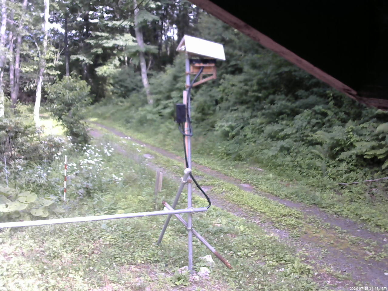 長野県菅平高原 ゆたか山荘 南側 2026/07/16 14:45