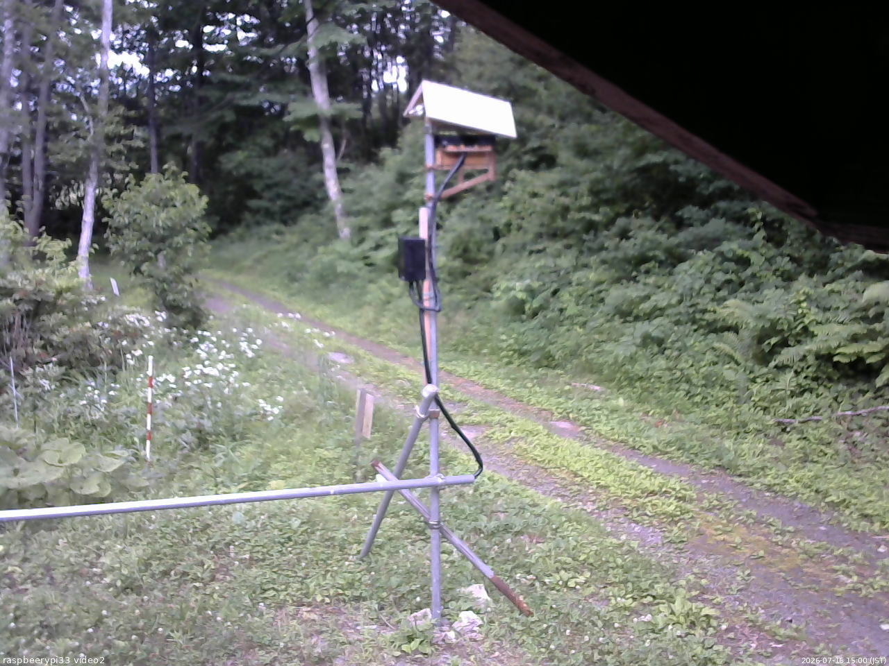 長野県菅平高原 ゆたか山荘 南側 2026/07/16 15:00