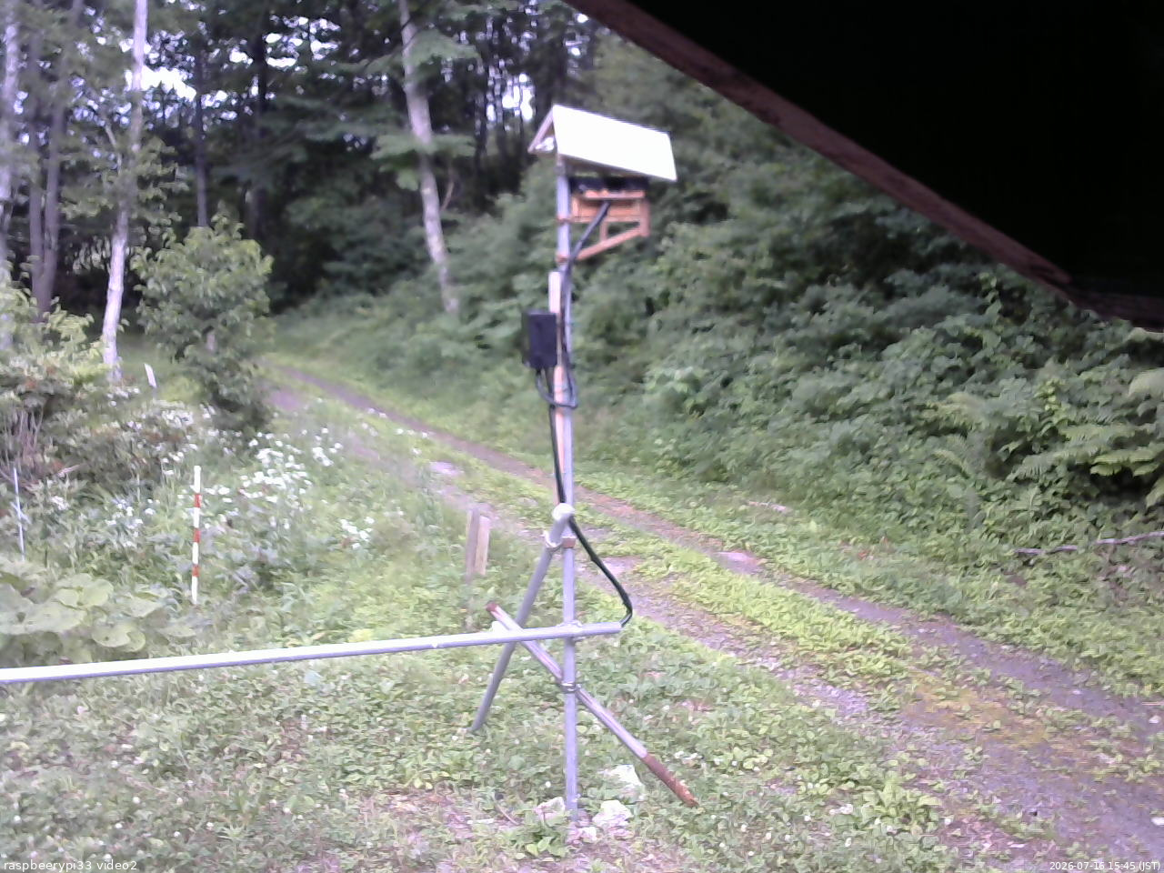 長野県菅平高原 ゆたか山荘 南側 2026/07/16 15:45