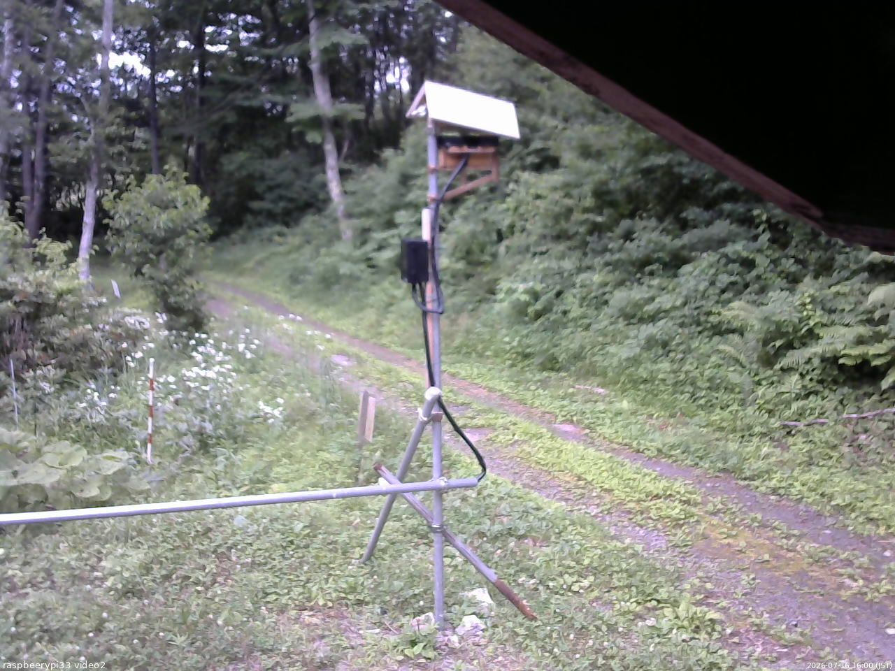 長野県菅平高原 ゆたか山荘 南側 2026/07/16 16:00