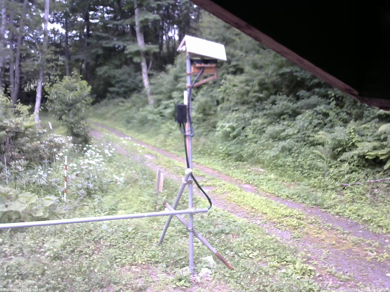 長野県菅平高原 ゆたか山荘 南側 2026/07/16 16:15