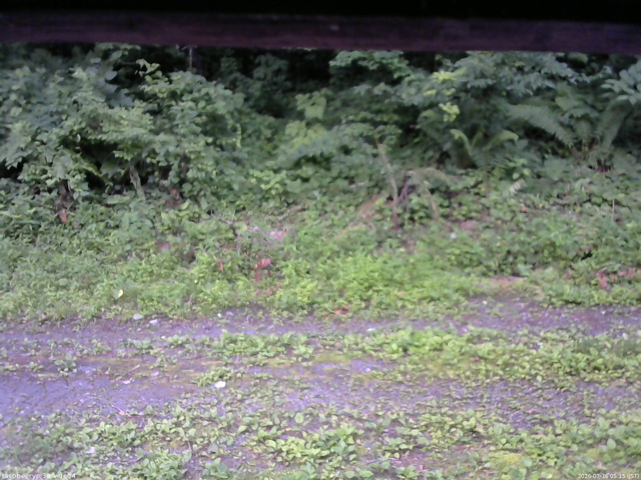 長野県菅平高原 ゆたか山荘 東側(坂下) 2026/07/16 05:15