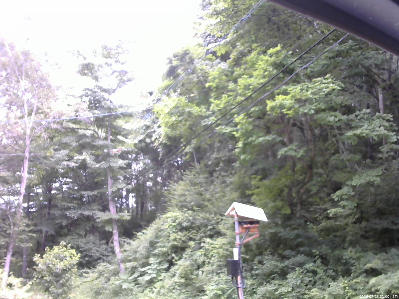 長野県菅平高原 ゆたか山荘 温度計 2026/07/16 11:00